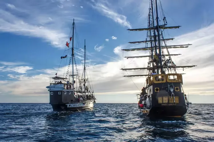 Wild Cabo Experience